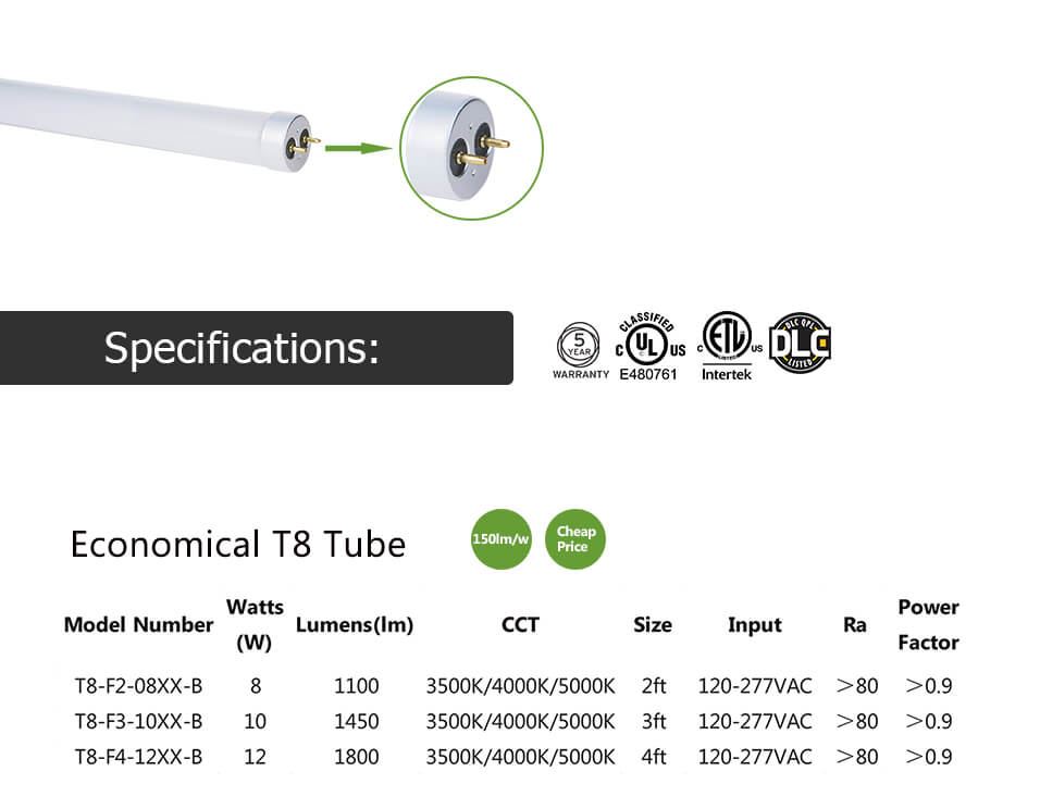 harolux ECONOMICAL LED T8 Tube detail