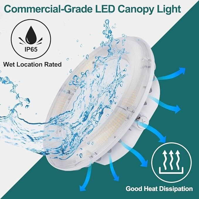 LED Canopy Light Detail