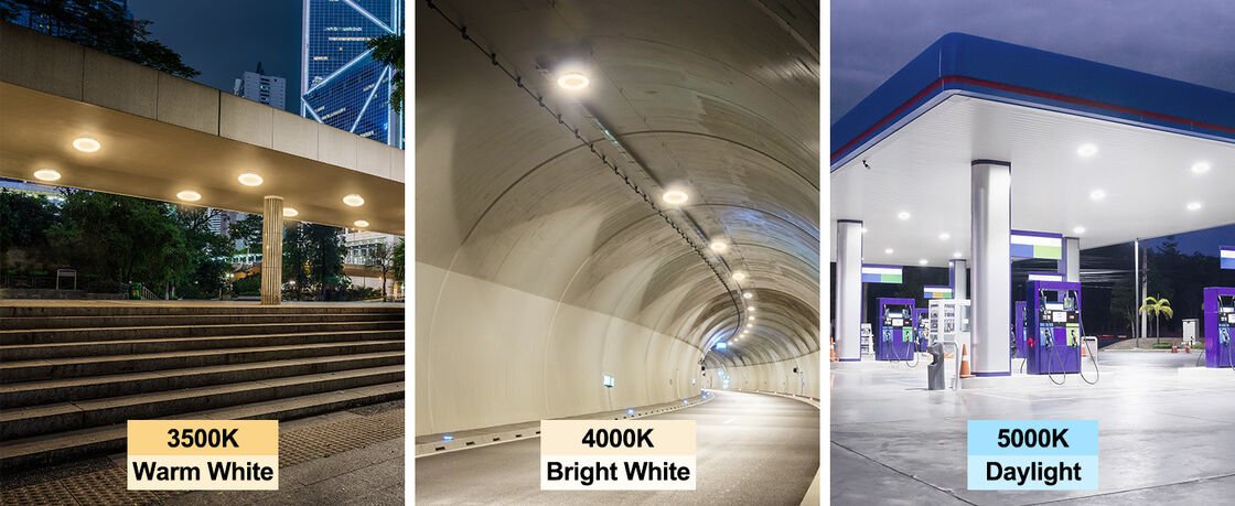 LED Canopy Light Detail